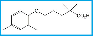 GEMFIBROZIL 2,4-DIMETHYLPHENOXY